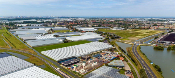 luchtfoto westland